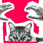 8cb899c9-4430-4736-aed6-a45693dee136