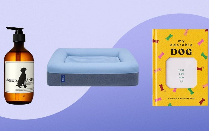 23 Delightful Gifts For Dog Lovers in 2020, From Dog Beds to Toys
