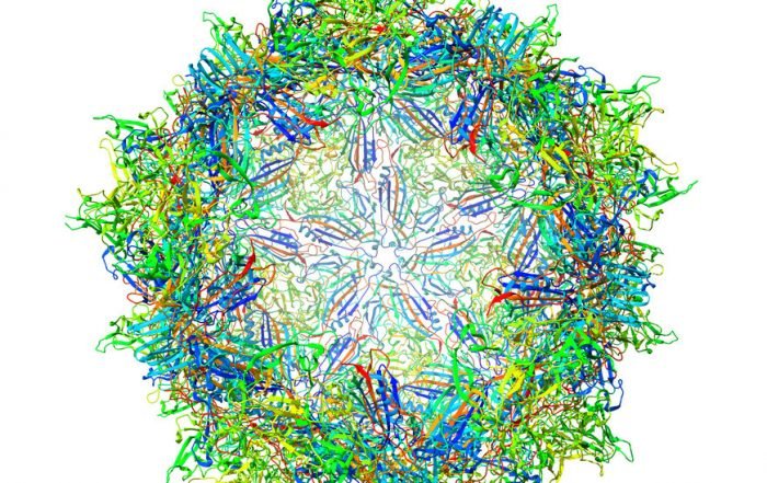 A Coronavirus Vaccine Project Takes a Page From Gene Therapy