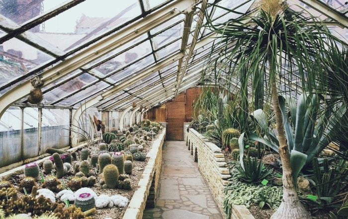 Why Now Is the Perfect Time for a Greenhouse