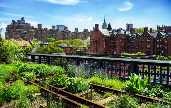 5 vibrant NYC neighborhoods for culture lovers