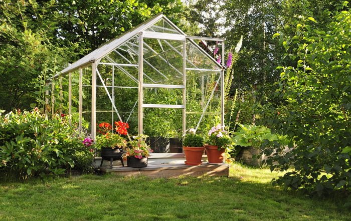 How To Design The Best Greenhouse: Layout And Functionality Tips