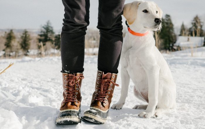 24 Stylish (and Functional) Snow Boots to Get You Through Winter