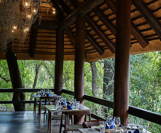 Seclusion and Effortless Chic at Sabi Sabi Little Bush Camp