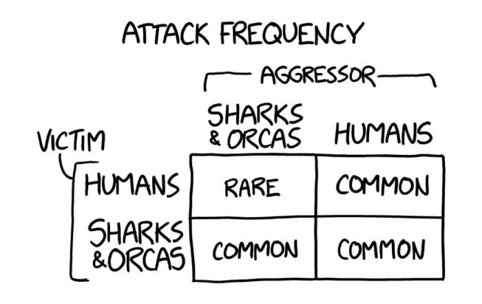 Shark or Orca: Which Should You Fear More?